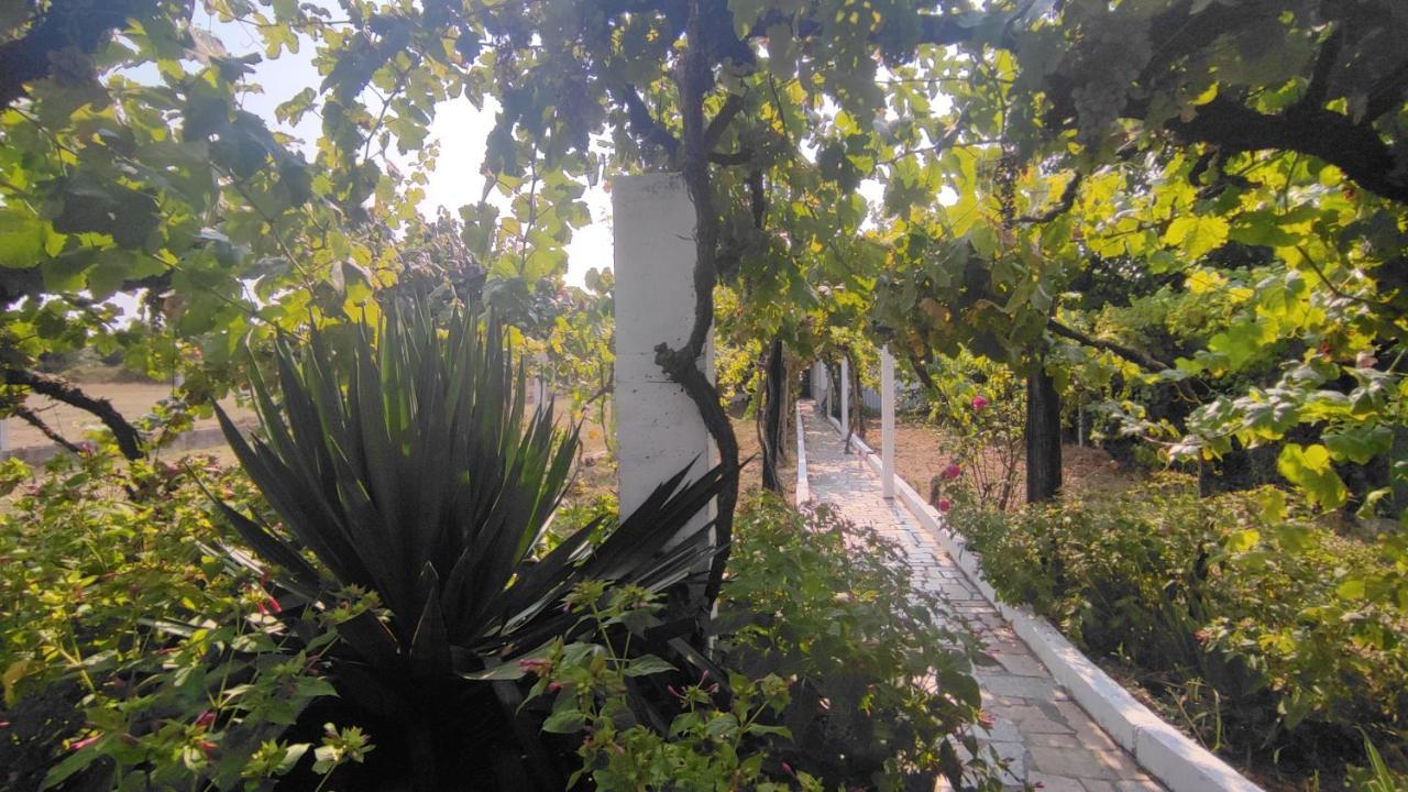 Morin Grey casa en el corazón de la Ribeira Sacra Monforte De Lemos Exterior foto
