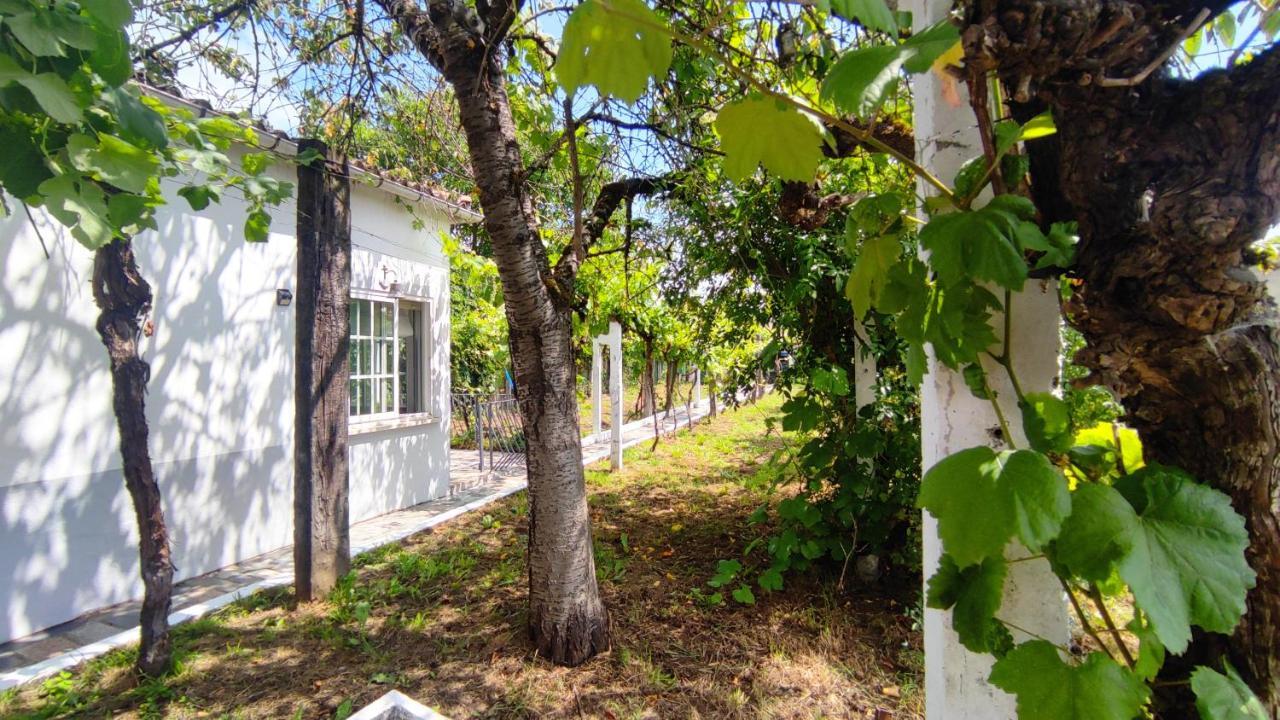Morin Grey casa en el corazón de la Ribeira Sacra Monforte De Lemos Exterior foto