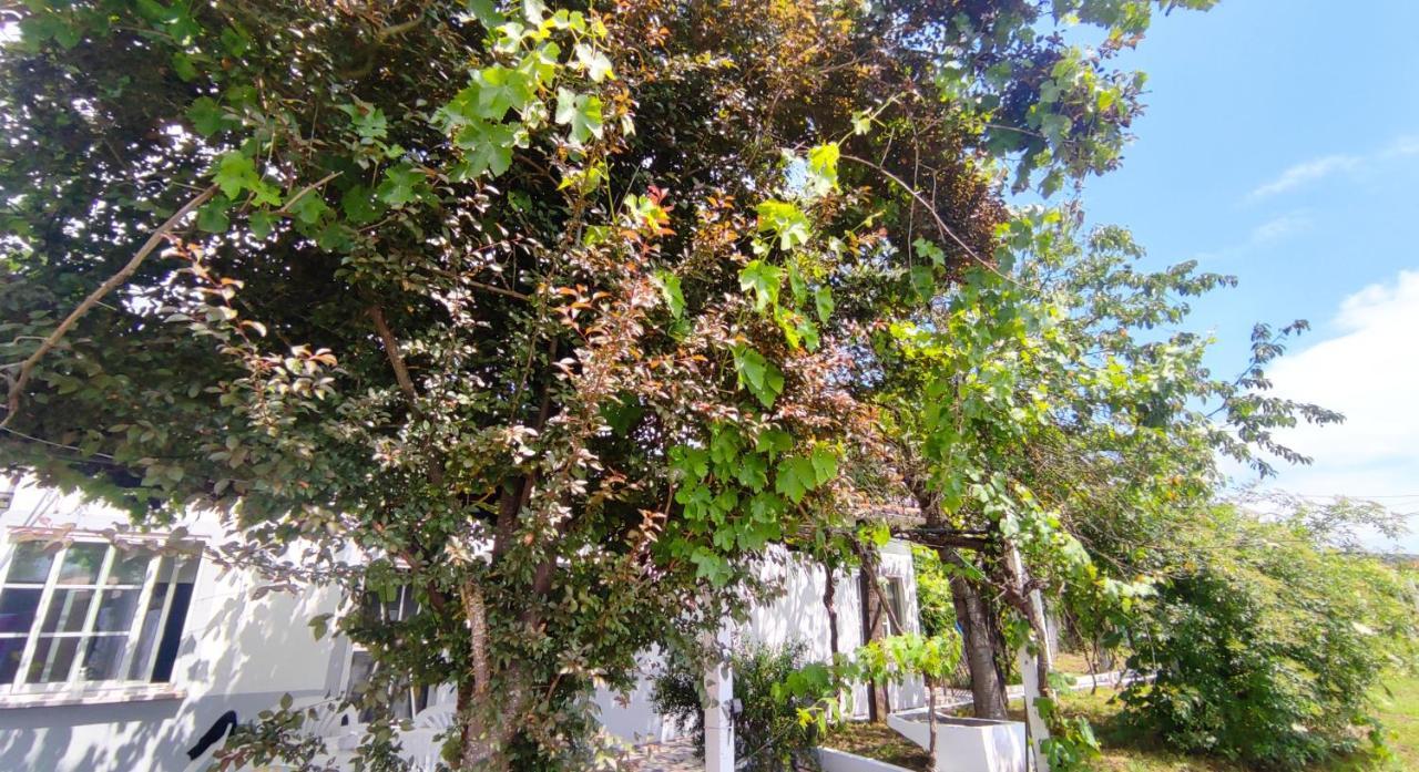 Morin Grey casa en el corazón de la Ribeira Sacra Monforte De Lemos Exterior foto